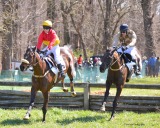 Celebrate Spring at Brandywine Hills Point-to-Point