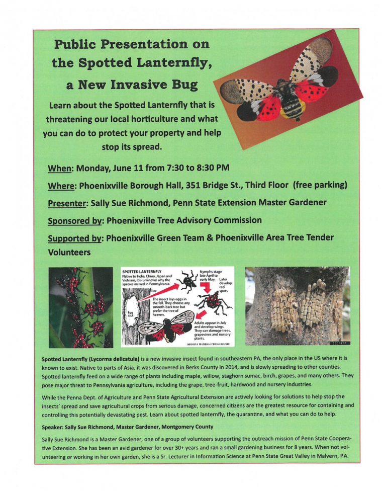 Public Presentation on the Spotted Lanternfly
