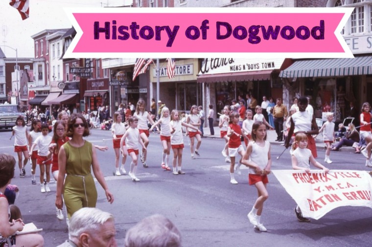 History of Dogwood