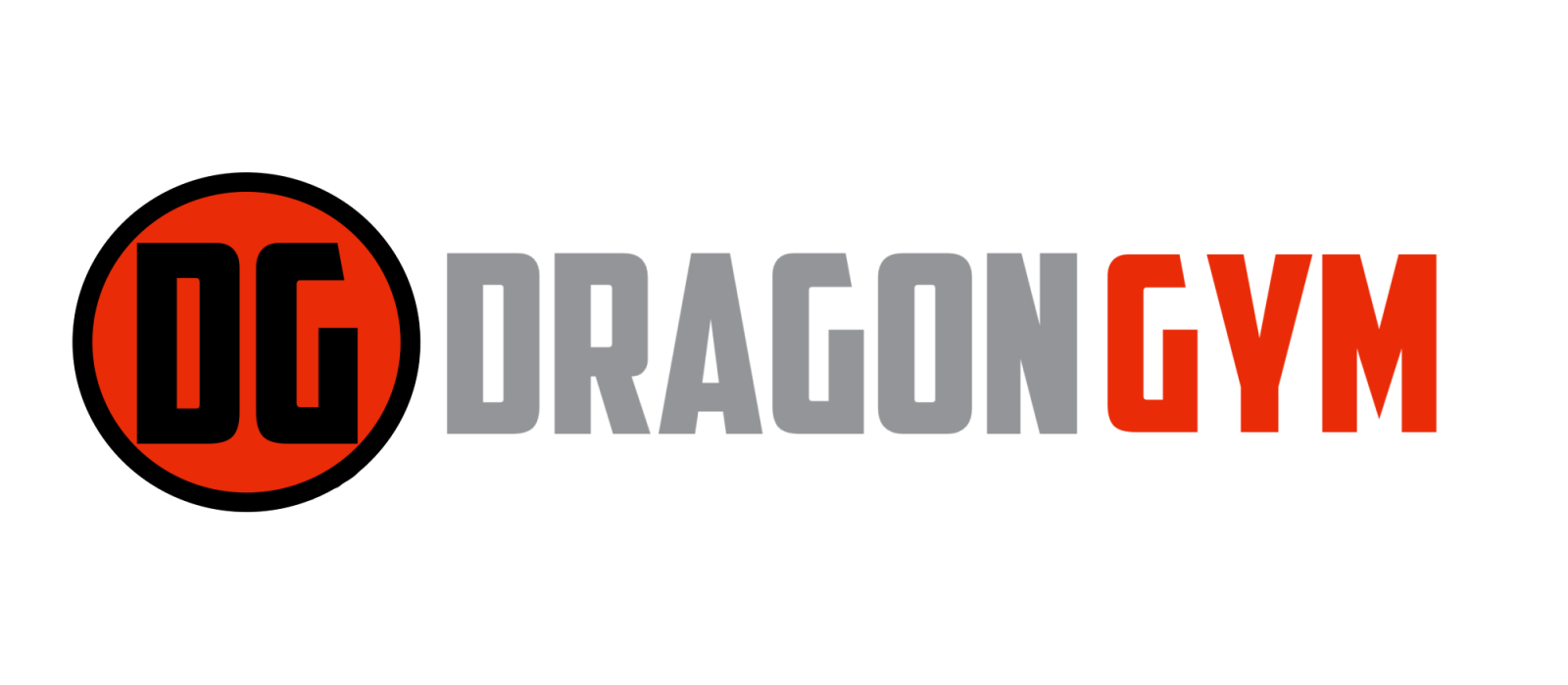 Dragon Gym Phoenixville – INACTIVE