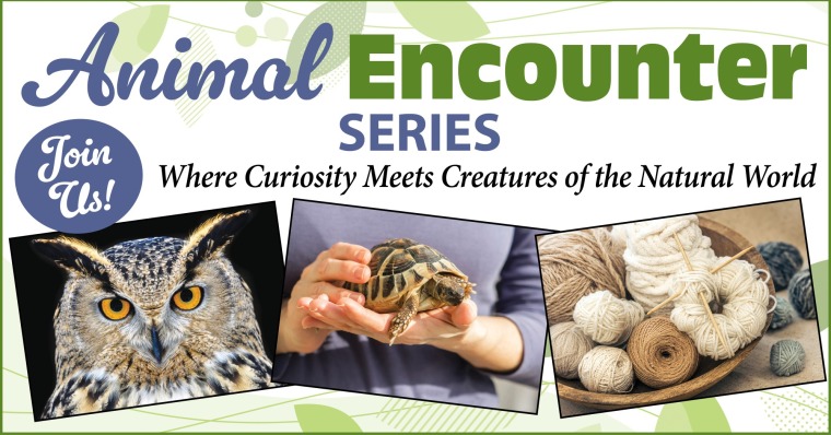 Animal Encounter Series: Part 1