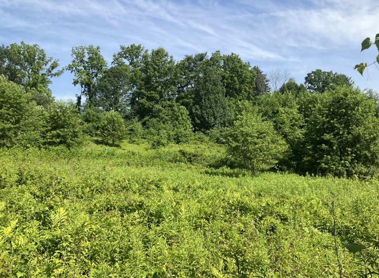 18 Acres Preserved Forever in Charlestown Township