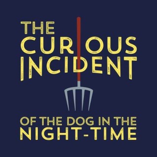 The Curious Incident of the Dog in the Night-time
