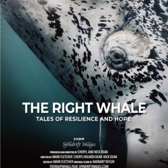 The Right Whale Film Screening & Fundraiser