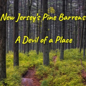 New Jersey’s Pine Barrens: A Devil of a Place!