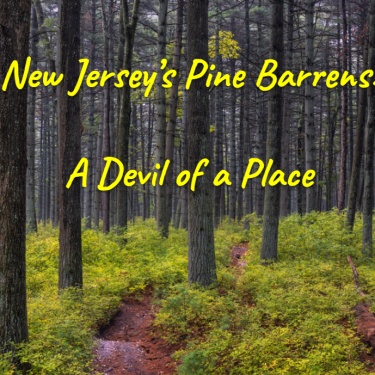 New Jersey’s Pine Barrens: A Devil of a Place!