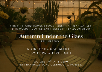 Autum Under the Glass