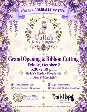 Calla’s Kitty Kingdom Grand Opening & Ribbon Cutting