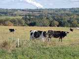 Press Release: 78.3 Acres Preserved Forever in West Vincent Township