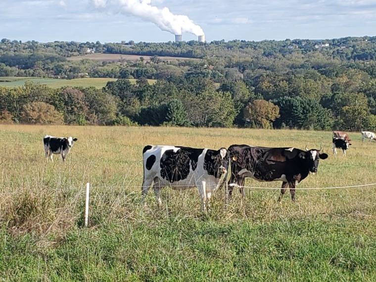Press Release: 78.3 Acres Preserved Forever in West Vincent Township
