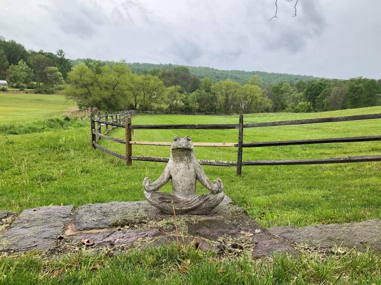 Press Release: 13 Acres Preserved Forever in North Coventry