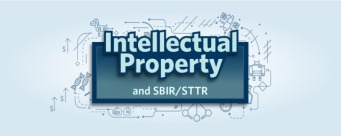 Small Business Innovation Research IP Awareness Webinar Series 2026: spotlight on the National Science Foundation
